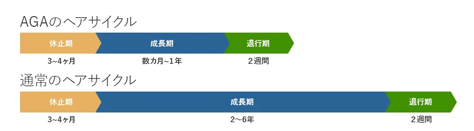 ヘアサイクルの違い