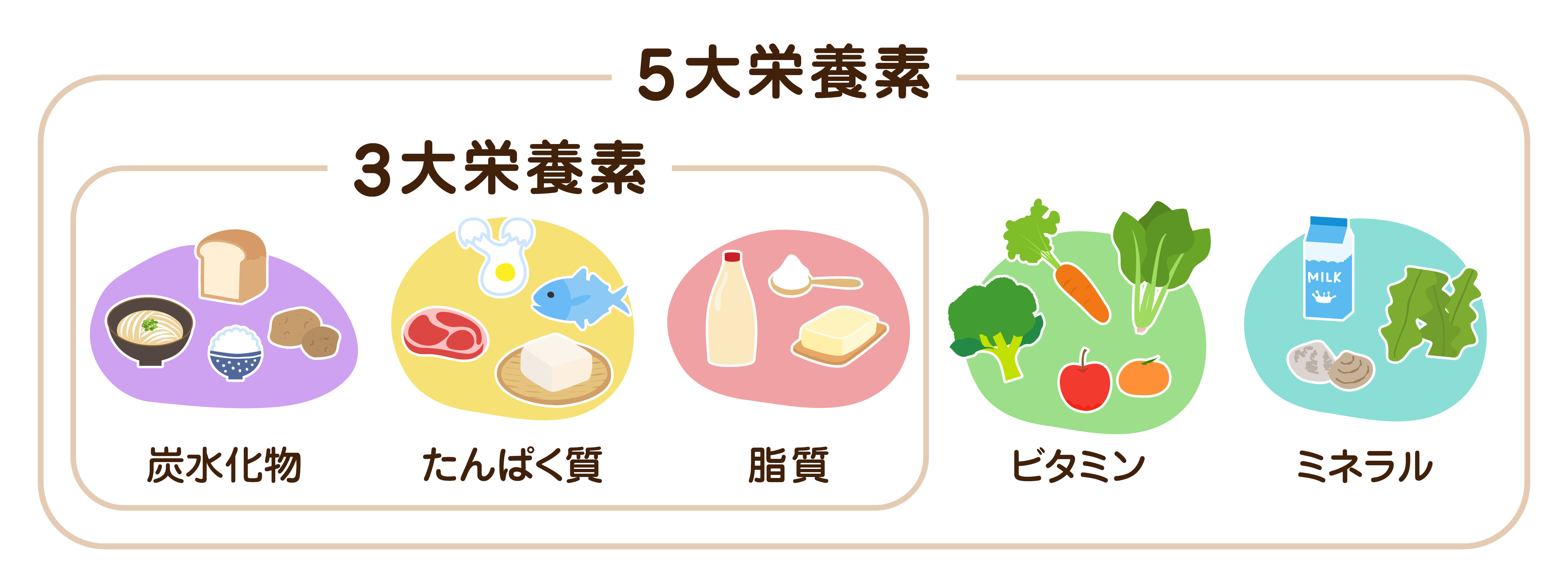 抜け毛予防に役立つ食事と栄養素