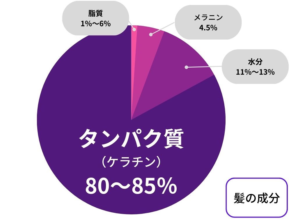 ワカメなどの海藻類で薄毛は改善するの？