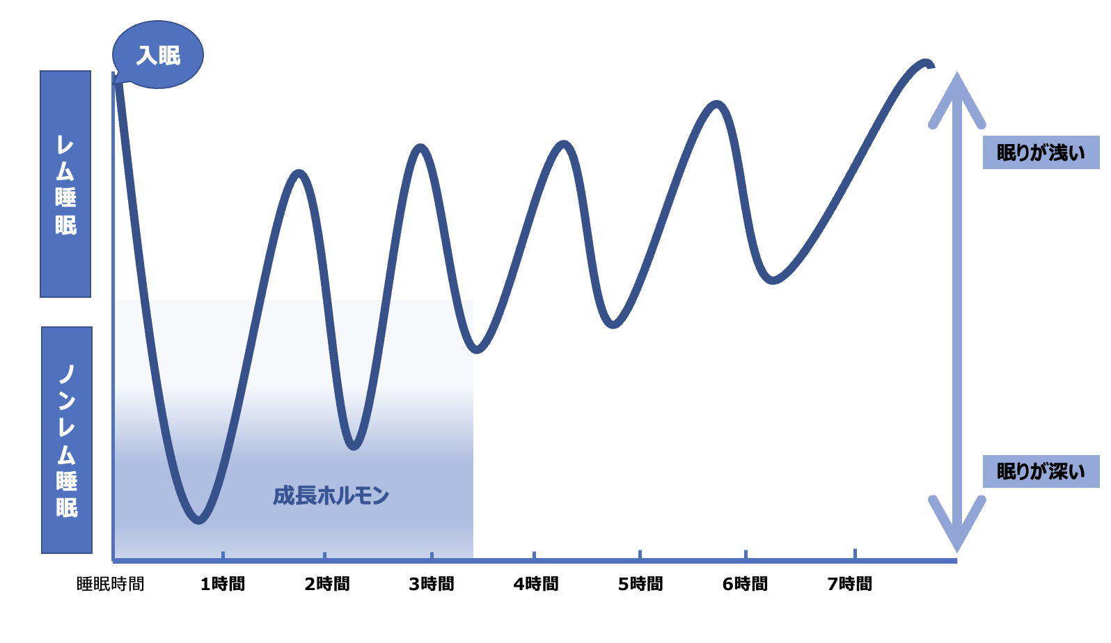 生活習慣の乱れは薄毛に直結？